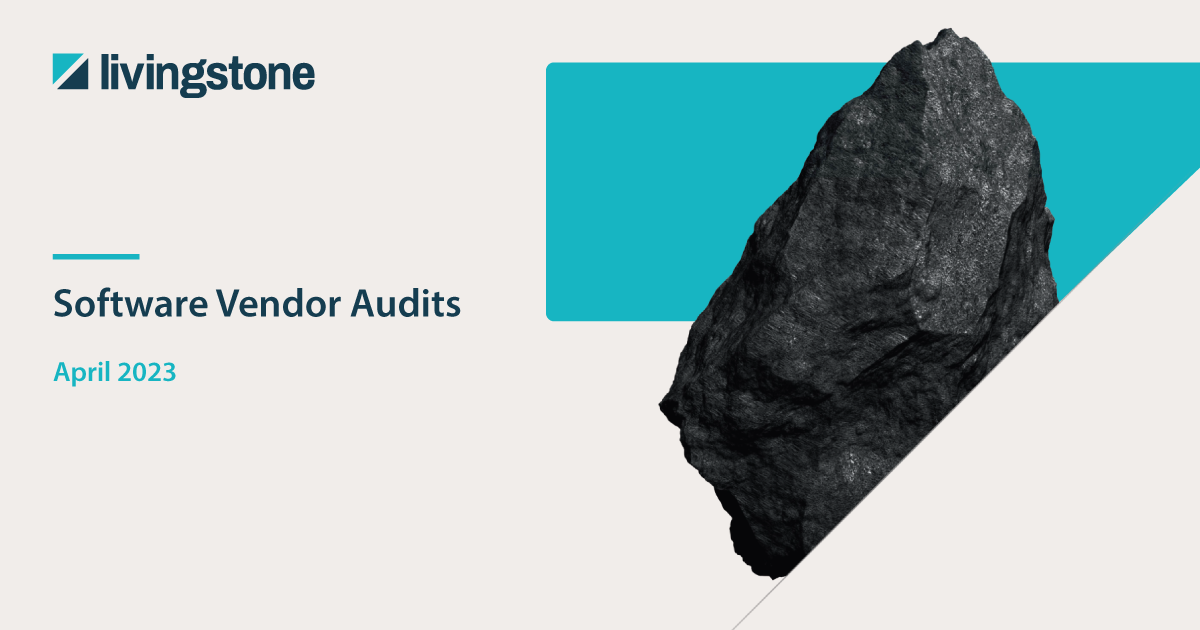 Resources-Software-Vendor-Audits