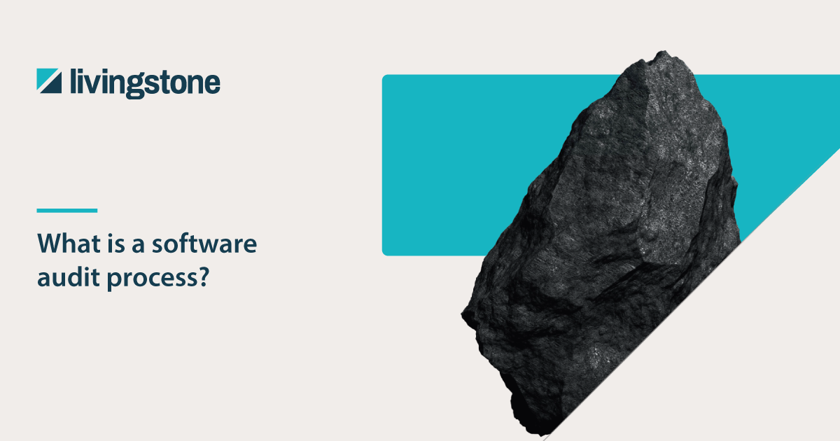 Resources_What-is-a-Software-Audit-Process