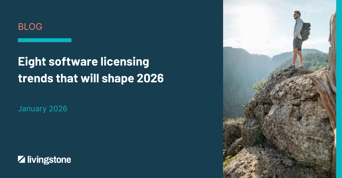 Eight software licensing trends that will shape 2026. Image of man looking out at the view from a top of a mountain